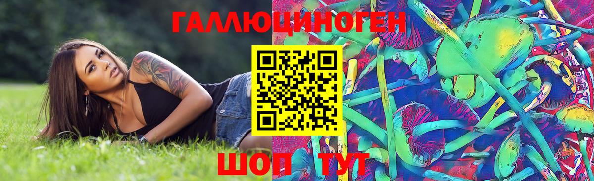 Псилоцибиновые грибы прущие грибы  Вход с VPN  Новокубанск  Галлюциногенные грибы Psilocybine cubensis 