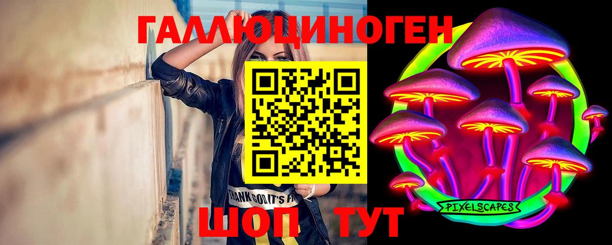 Галлюциногенные грибы Cubensis Новокубанск
