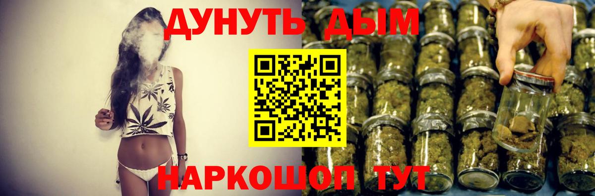 Марихуана план  Вход с VPN  Новокубанск  Бошки Шишки планчик  МАРИХУАНА White Widow  Марихуана SATIVA & INDICA 